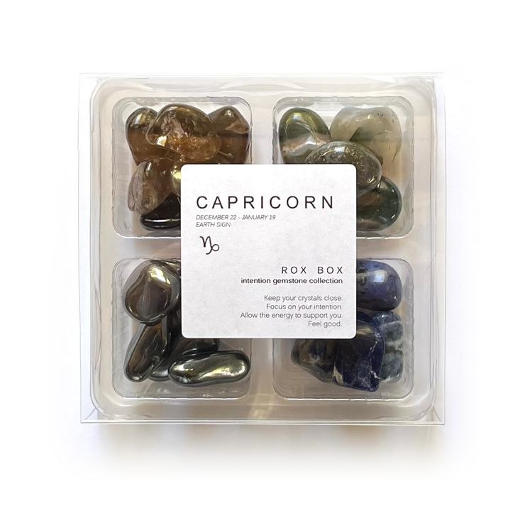Capricorn Zodiac Rox Box - jumbo set -crystals and stones - Leopard Frog