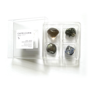 Capricorn Zodiac Rox Box - jumbo set -crystals and stones - Leopard Frog