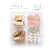 Cancer Zodiac Rox Box - jumbo set - crystals and stones - Leopard Frog
