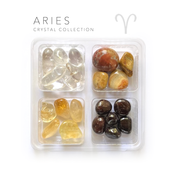 Aries Zodiac Rox Box - jumbo 4 pack- crystals and stone gift - Leopard Frog