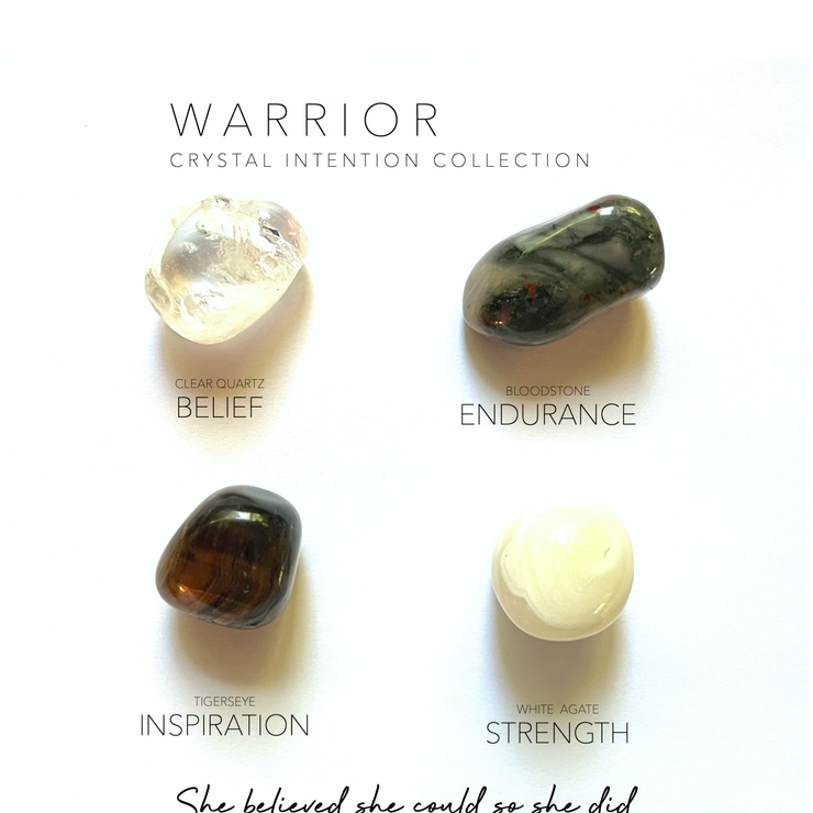 WARRIOR crystal set - She believed she could so she did - Leopard Frog