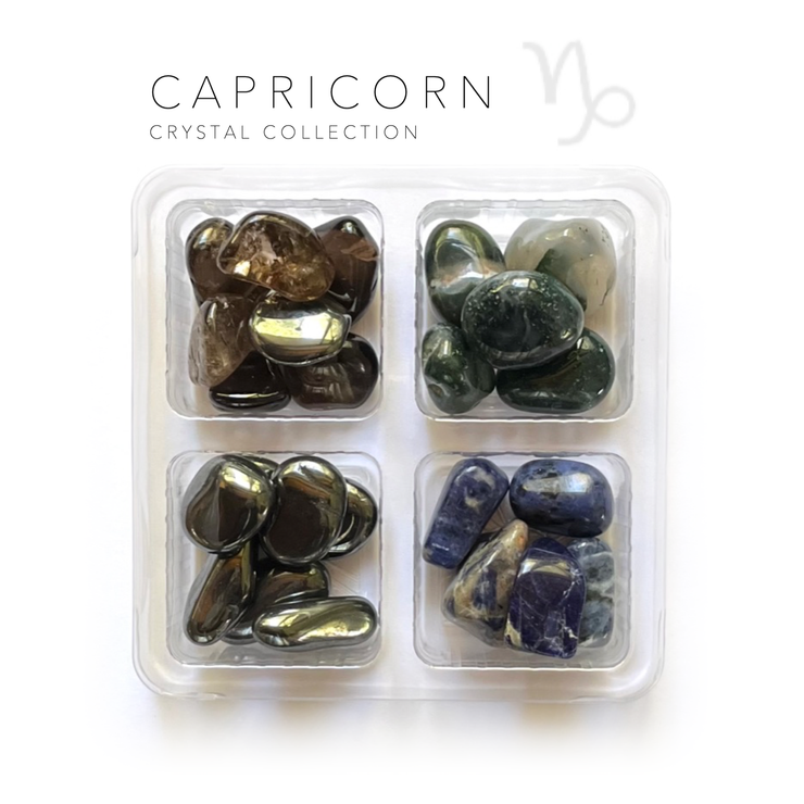 Capricorn Zodiac Rox Box - jumbo set -crystals and stones - Leopard Frog