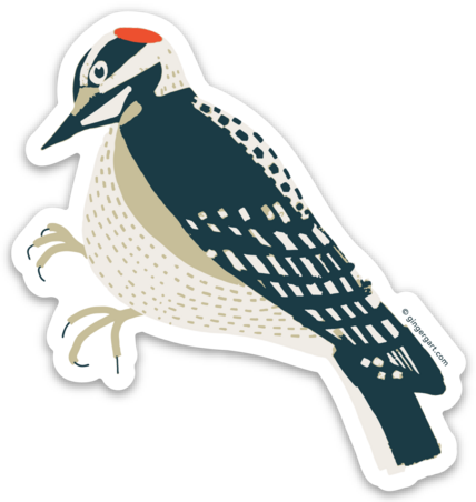 Hairy Woodpecker 3" Sticker