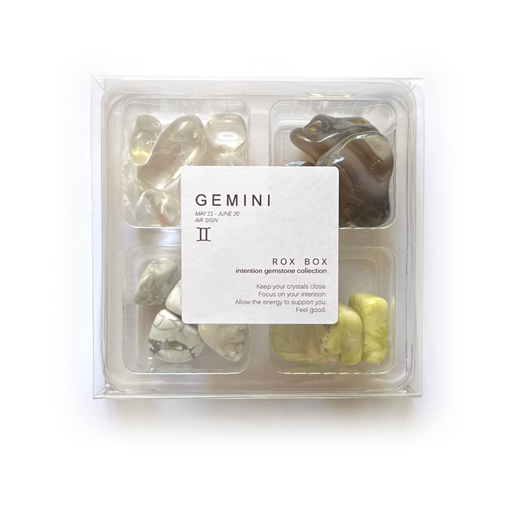 Gemini Zodiac Rox Box - jumbo set- crystals and stones - Leopard Frog