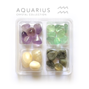 Aquarius Zodiac  - jumbo 4 pack - crystals and stones - Leopard Frog