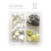 Gemini Zodiac Rox Box - jumbo set- crystals and stones - Leopard Frog