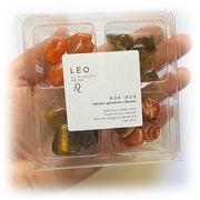 Leo Zodiac Rox Box - jumbo - Crystals and Stones gift set - Leopard Frog