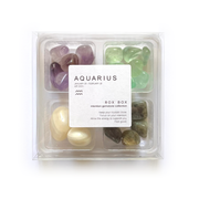 Aquarius Zodiac  - jumbo 4 pack - crystals and stones - Leopard Frog