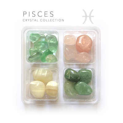 Pisces Zodiac Rox Box - jumbo- crystals and stones - Leopard Frog