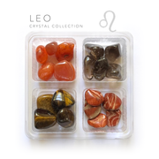 Leo Zodiac Rox Box - jumbo - Crystals and Stones gift set - Leopard Frog