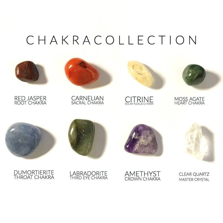 Chakra Collection - Rox Box - 8 pack - Crystals and Stones - Leopard Frog