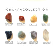 Chakra Collection - Rox Box - 8 pack - Crystals and Stones - Leopard Frog