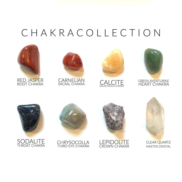 Chakra Collection - Rox Box - 8 pack - Crystals and Stones - Leopard Frog