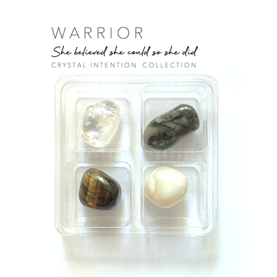 WARRIOR crystal set - She believed she could so she did - Leopard Frog